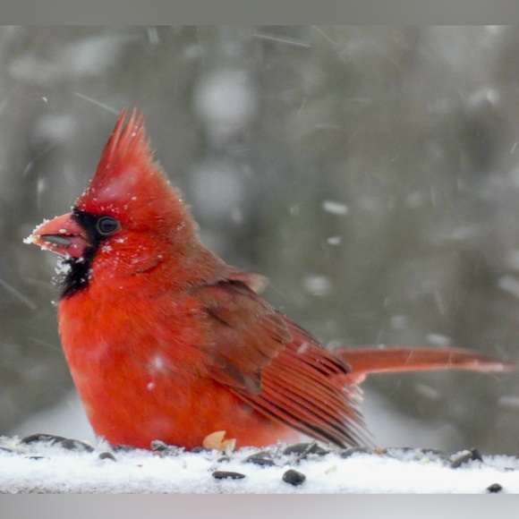 Meet your Posher, Ane - Picture 15 of 16